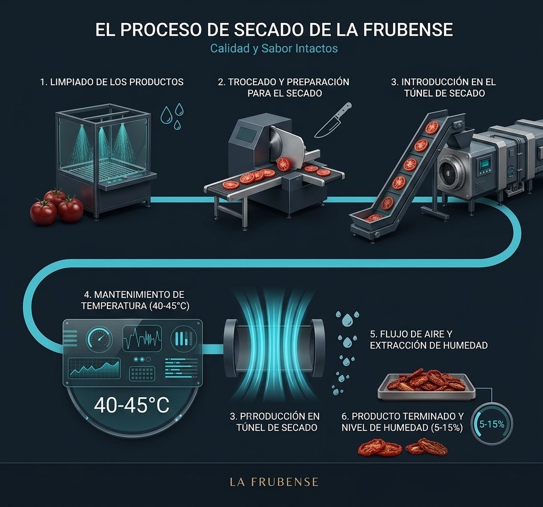 Infographic of La Frubense's drying process: cleaning the produce, cutting and preparation, entering the drying tunnel, holding temperature between 40 and 45 degrees, airflow and moisture extraction, and finished product at 5 to 15 percent moisture.