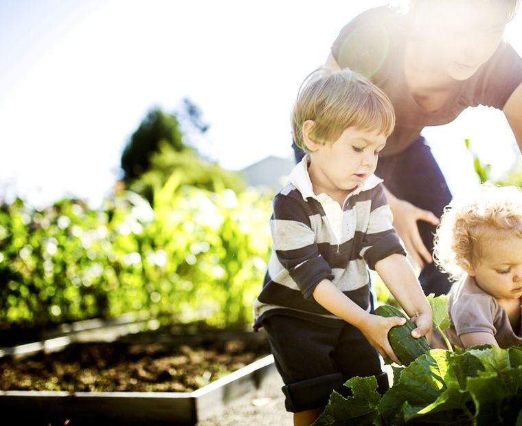 Une mère et ses deux jeunes enfants récoltant des légumes au champ